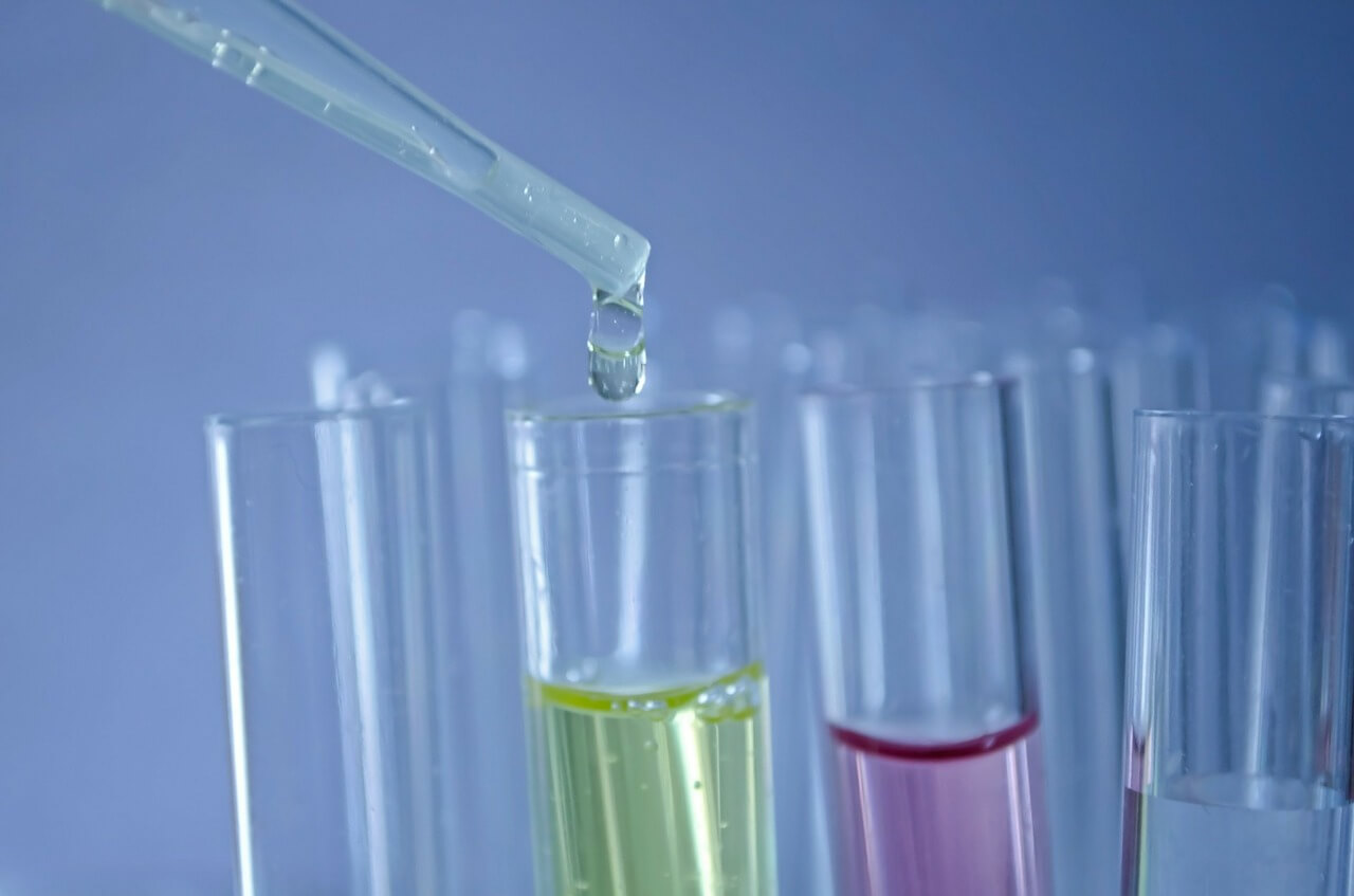 Basic Molecular Biology Techniques