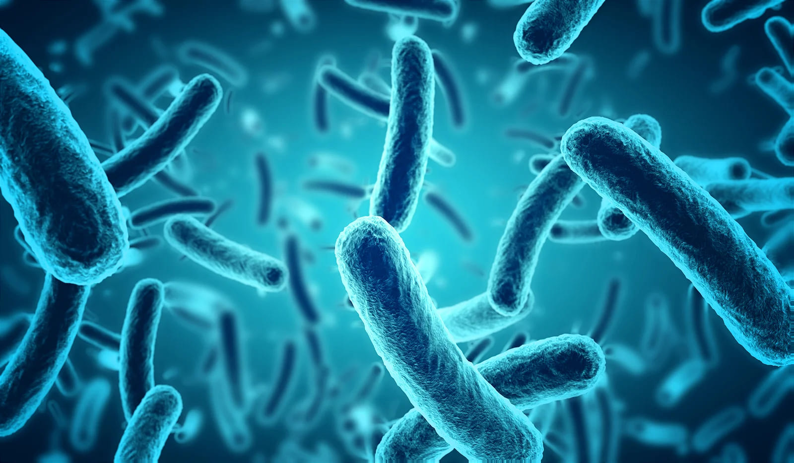 Isolation, Identification and Biochemical Characterisation of Soil Microbes using Plating Techniques