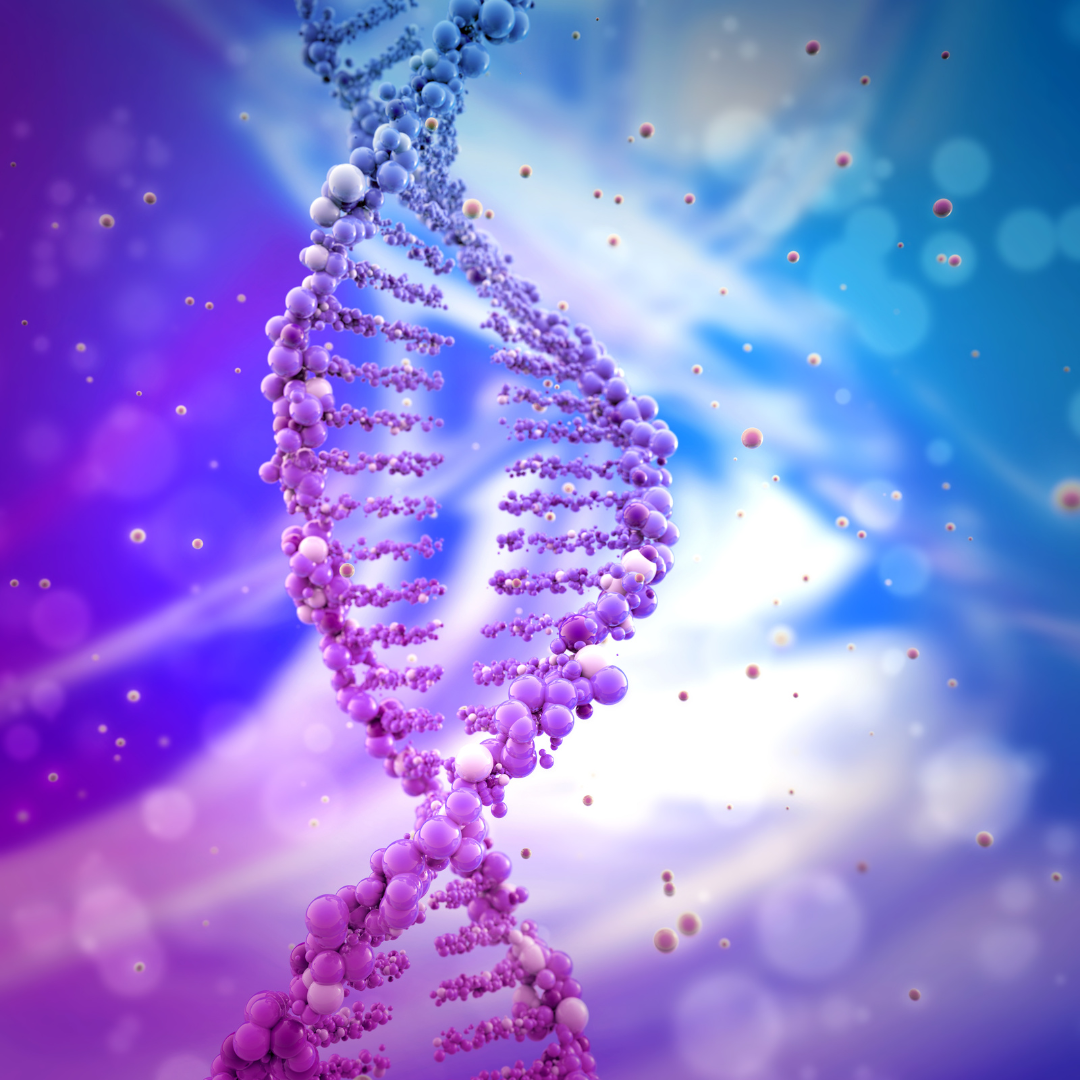 Workshop on Molecular Biology